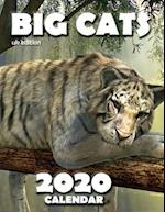 Big Cats 2020 Calendar (UK Edition) 
