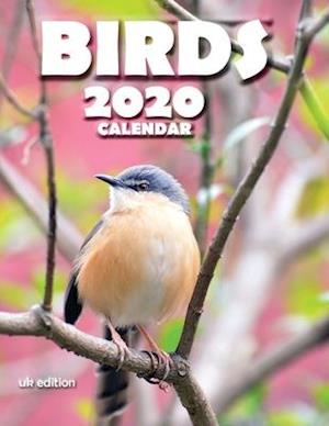 Birds 2020 Calendar (UK Edition)