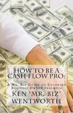 How to Be a Cash Flow Pro: A Mr. Biz Guide to Crushing Business Owner Insomnia 