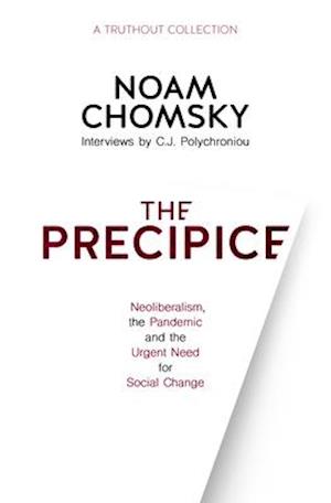 The Precipice : Neoliberalism, the Pandemic and the Urgent Need for Social Change