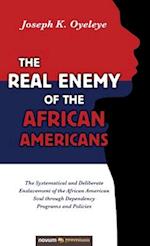 The Real Enemy of the African Americans: The Systematical and Deliberate Enslavement of the African American Soul through Dependency Programs and Poli