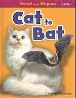 Cat to Bat