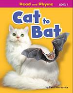 Cat to Bat