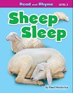 Sheep Sleep