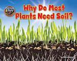 Why Do Most Plants Need Soil?