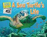 A Sea Turtle's Life