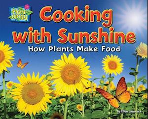 Cooking with Sunshine