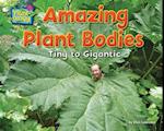 Amazing Plant Bodies