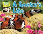 A Snake's Life
