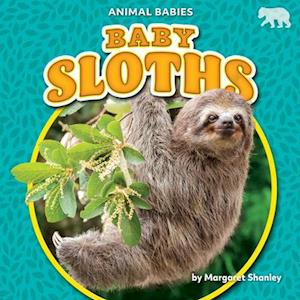 Baby Sloths