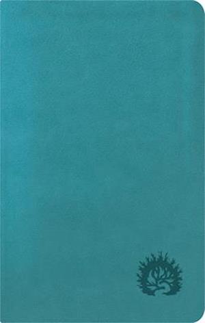 ESV Reformation Study Bible, Condensed Edition - Turquoise, Leather-Like