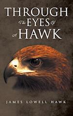 Through The Eyes Of A Hawk