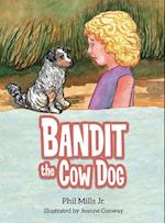 Bandit the Cow Dog