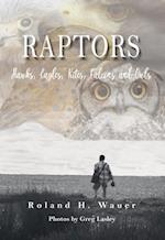 Raptors : Hawks, Eagles, Kites Falcons and Owls