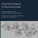 What Kind of Island in What Kind of Sea?