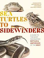 Sea Turtles to Sidewinders
