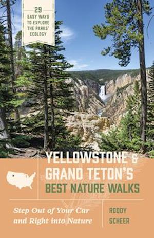 Yellowstone and Grand Teton's Best Nature Walks