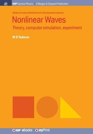 Nonlinear Waves: Theory, Computer Simulation, Experiment