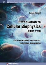 Introduction to Cellular Biophysics, Volume 2