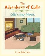 The Adventures of Callie: Callie's New Friends 