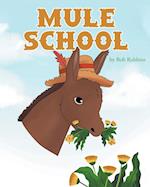 Mule School