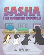 Sasha the Wonder Doodle