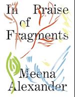 In Praise of Fragments