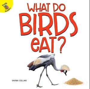 What Do Birds Eat?