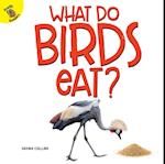 What Do Birds Eat?