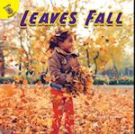 Leaves Fall