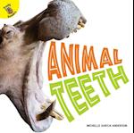 Animal Teeth