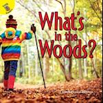 What's in the Woods?