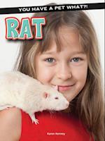 Rat