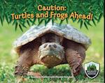 Caution: Turtles and Frogs Ahead!