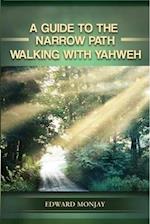 A Guide to Narrow Path (Volume I)