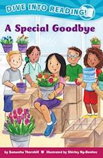 A Special Goodbye (Confetti Kids #12)