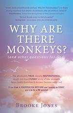 Why Are There Monkeys?: (and other questions for God) 