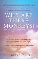 Why Are There Monkeys? (and other questions for God)