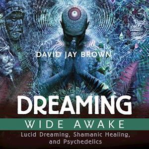 Dreaming Wide Awake