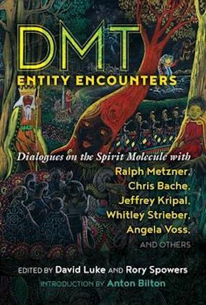 DMT Entity Encounters