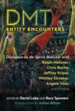 DMT Entity Encounters