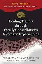 Healing Trauma Through Family Constellations and Somatic Experiencing