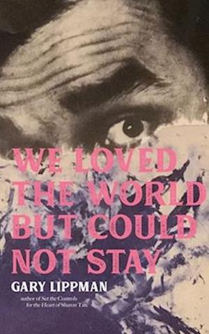 We Loved the World But Could Not Stay : A Collection of One-Sentence Stories