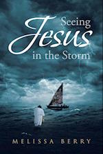 Seeing Jesus in the Storm