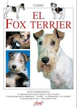 El fox terrier