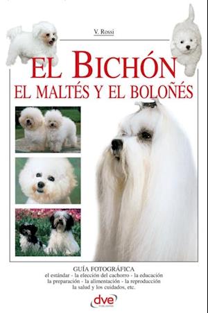 El Bichón