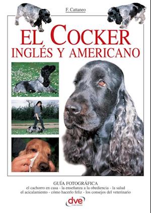 El Cocker inglés y americano