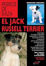 El Jack Russell terrier