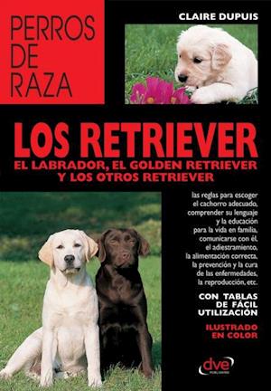 los retriever el labrador, el golden retriever y los otros retriever