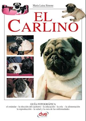 El Carlino